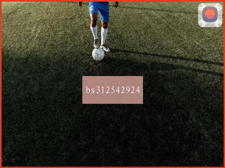 bs312542924